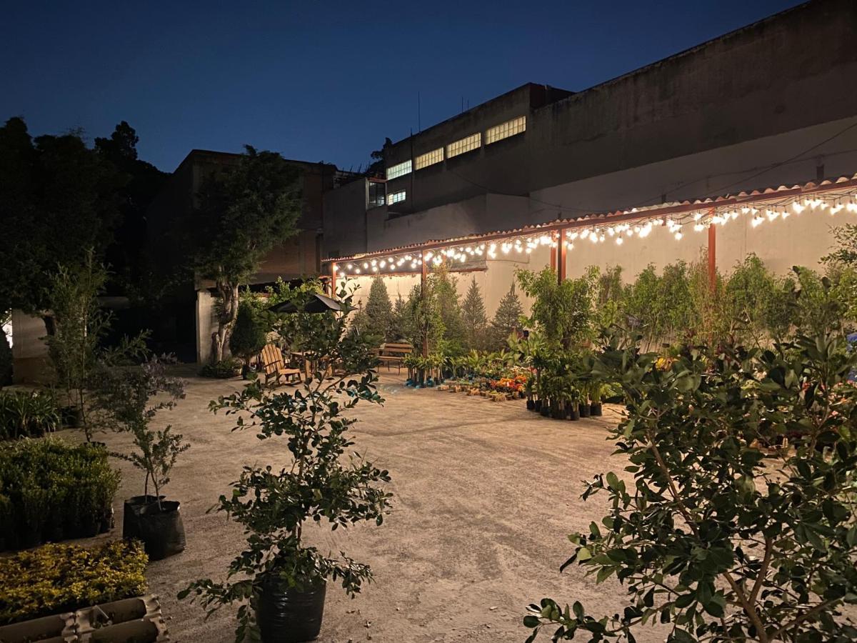 Hotel Express Quinta Soledad Mexico City Ngoại thất bức ảnh