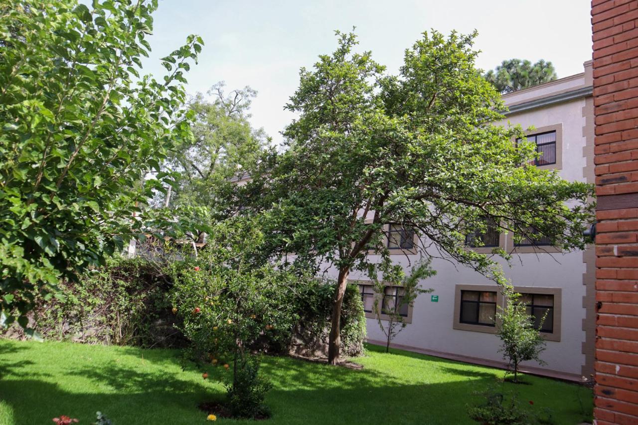 Hotel Express Quinta Soledad Mexico City Ngoại thất bức ảnh