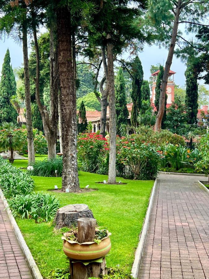 Hotel Express Quinta Soledad Mexico City Ngoại thất bức ảnh